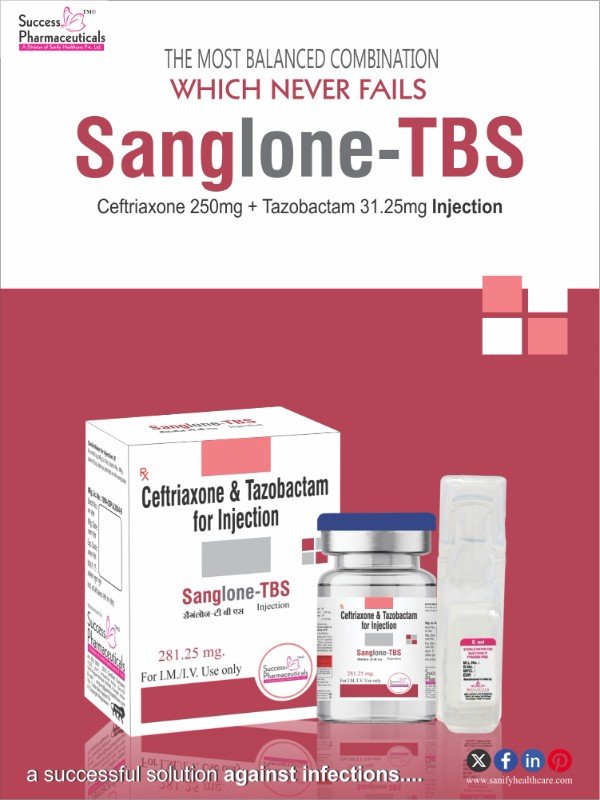 Sanglone TBS